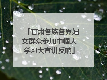甘肃各族各界妇女群众参加巾帼大学习大宣讲反响